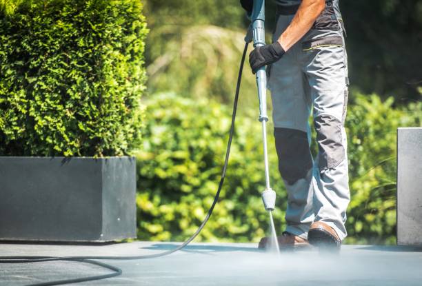 Best Building Exterior Washing  in North College Hill, OH