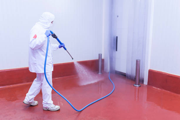 Best Patio and Deck Pressure Washing  in North College Hill, OH